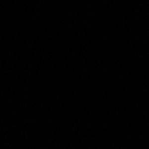 Meet your Posher, Daniela